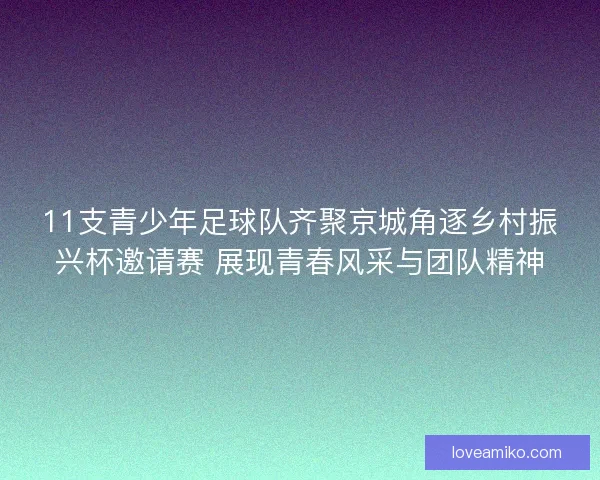 11支青少年足球队齐聚京城角逐乡村振兴杯邀请赛 展现青春风采与团队精神